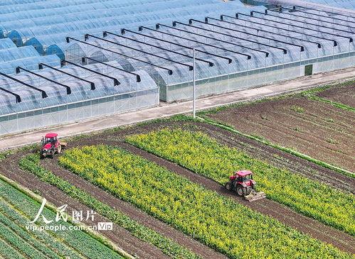 1024国产基地在线