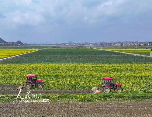 1024国产基地在线
