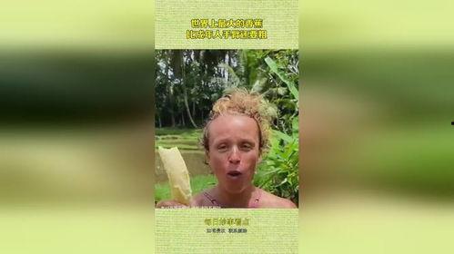 大香蕉国产成人,揭秘国内成人影视产业的崛起与挑战